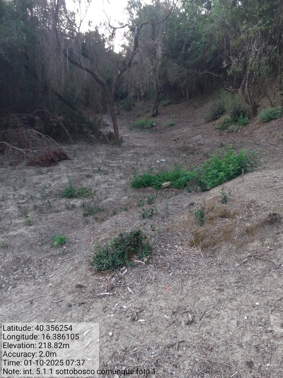 Galleria Fotografica Immagine