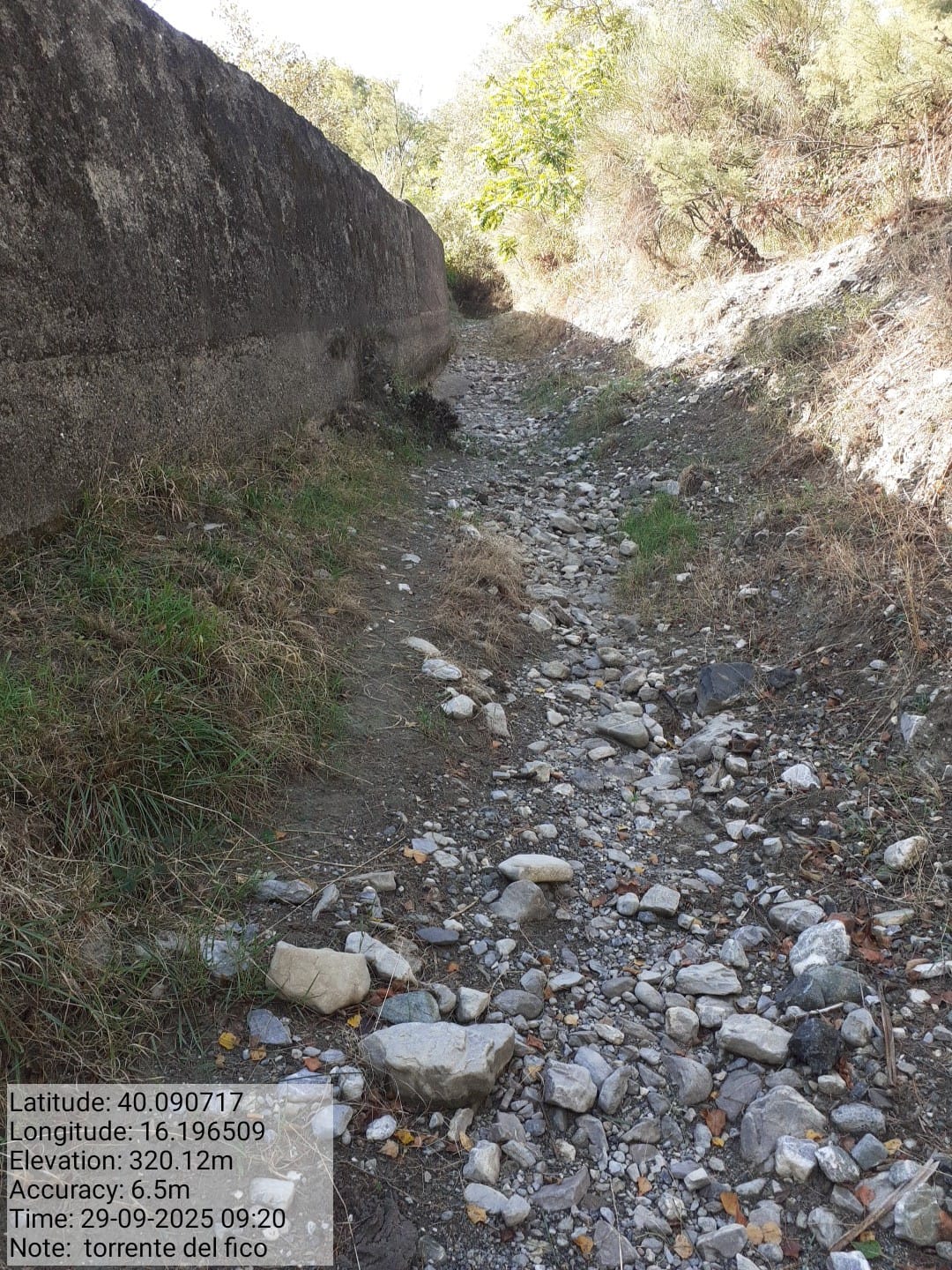 Galleria Fotografica Immagine