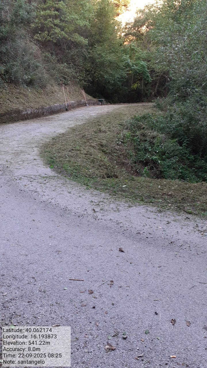 Galleria Fotografica Immagine