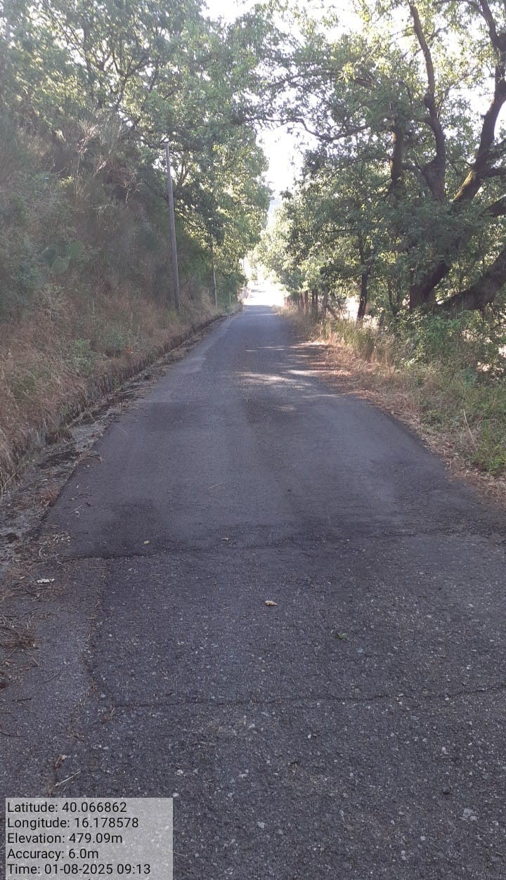 Galleria Fotografica Immagine