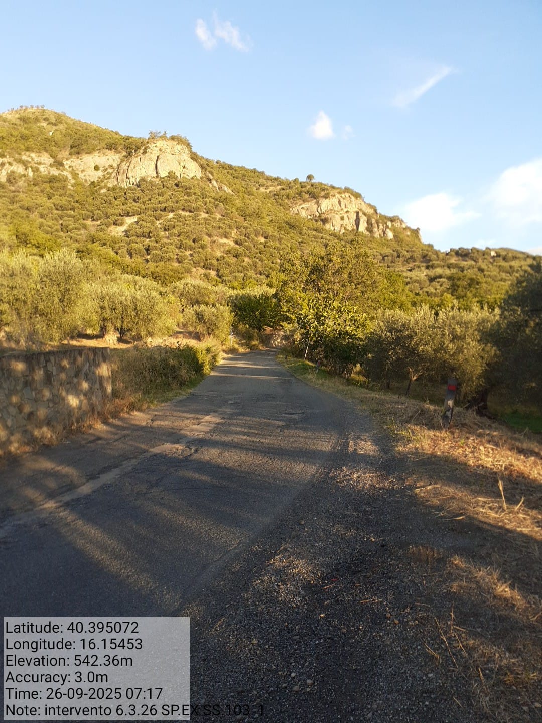 Galleria Fotografica Immagine