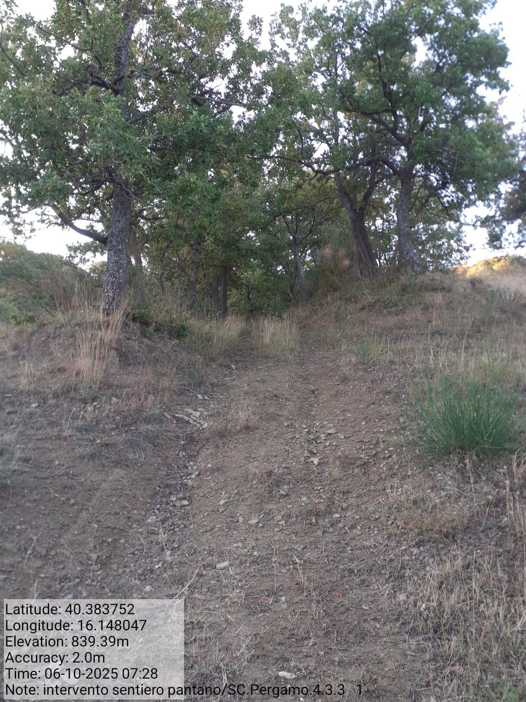 Galleria Fotografica Immagine