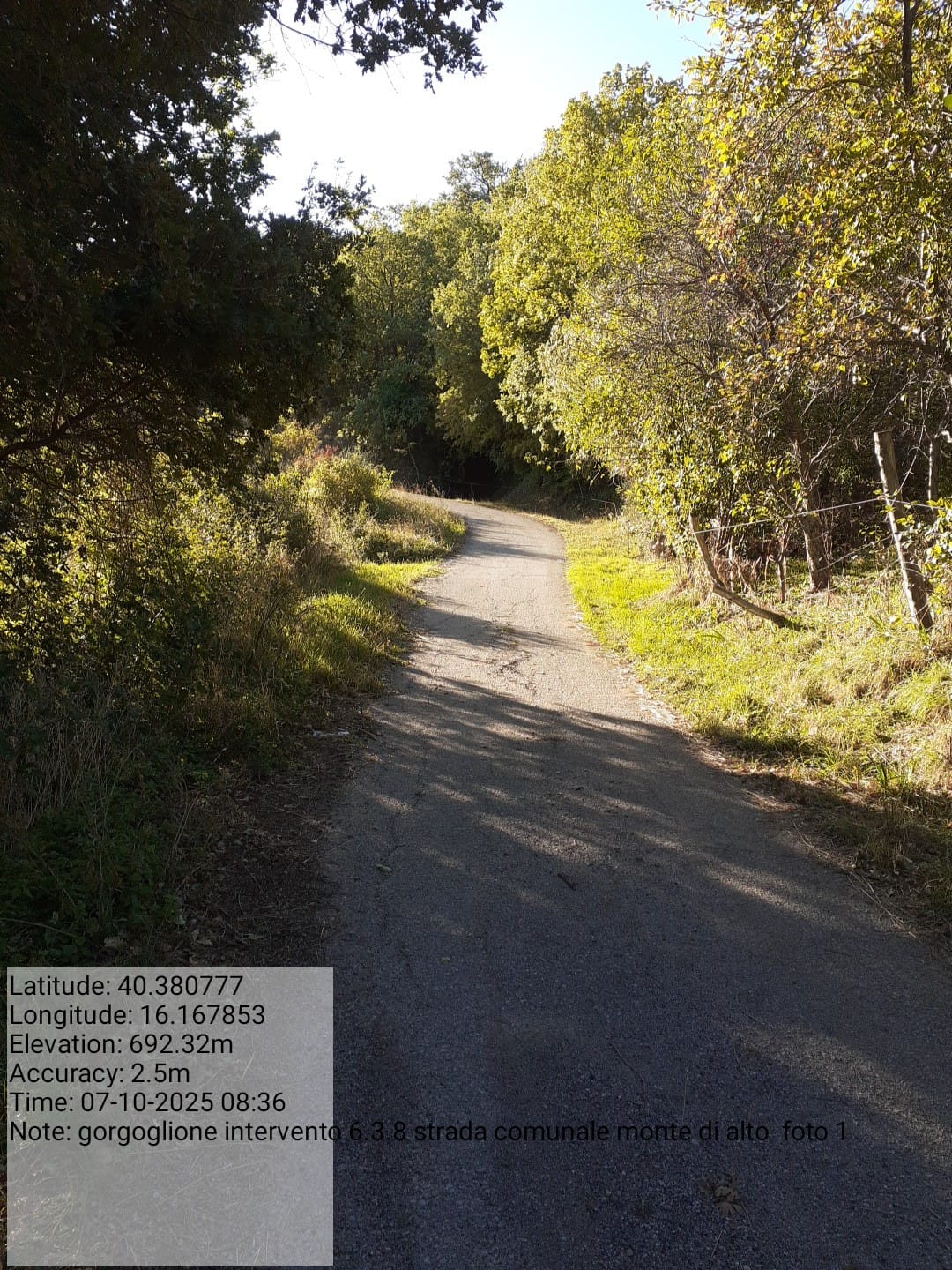 Galleria Fotografica Immagine