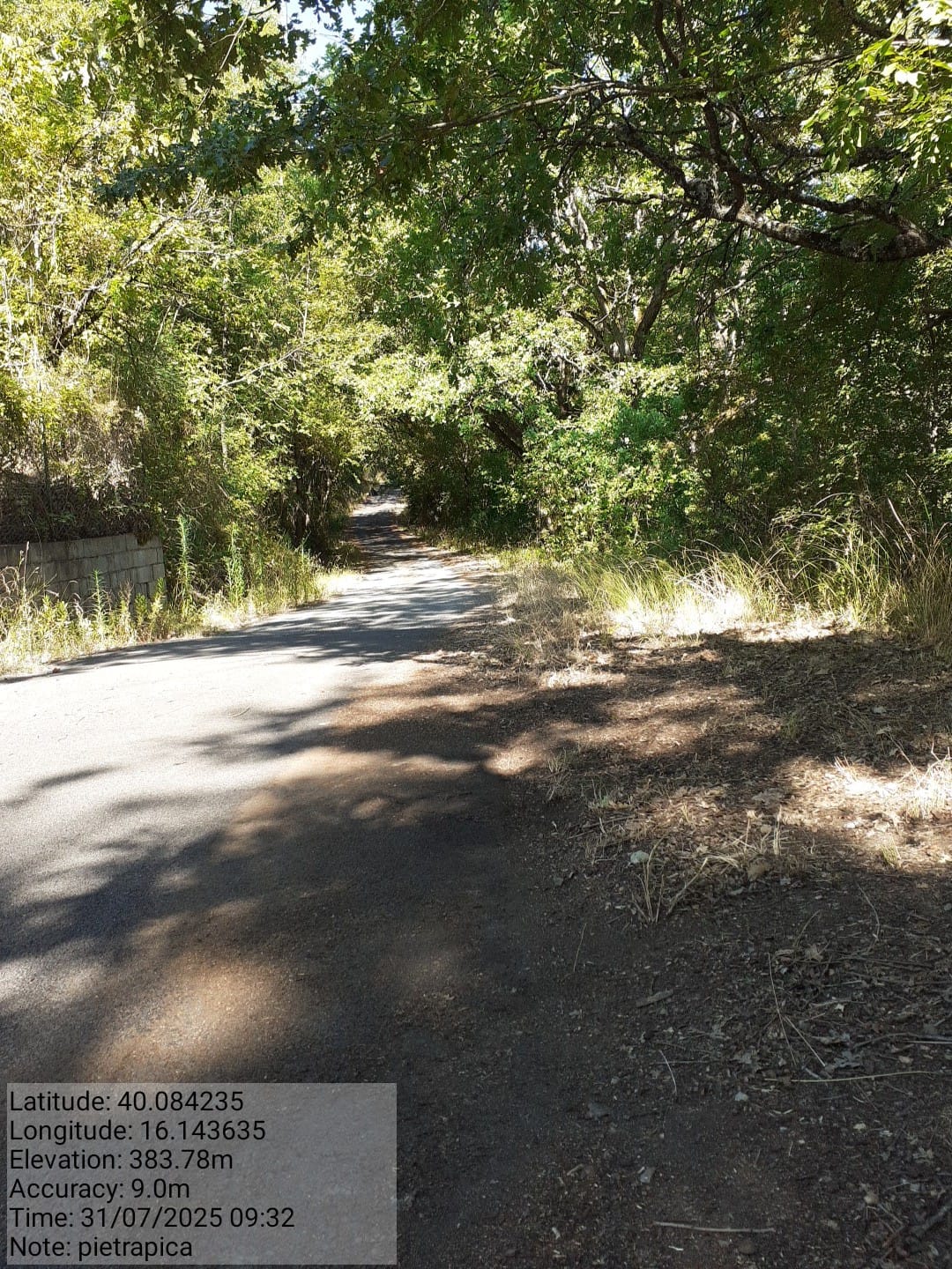 Galleria Fotografica Immagine