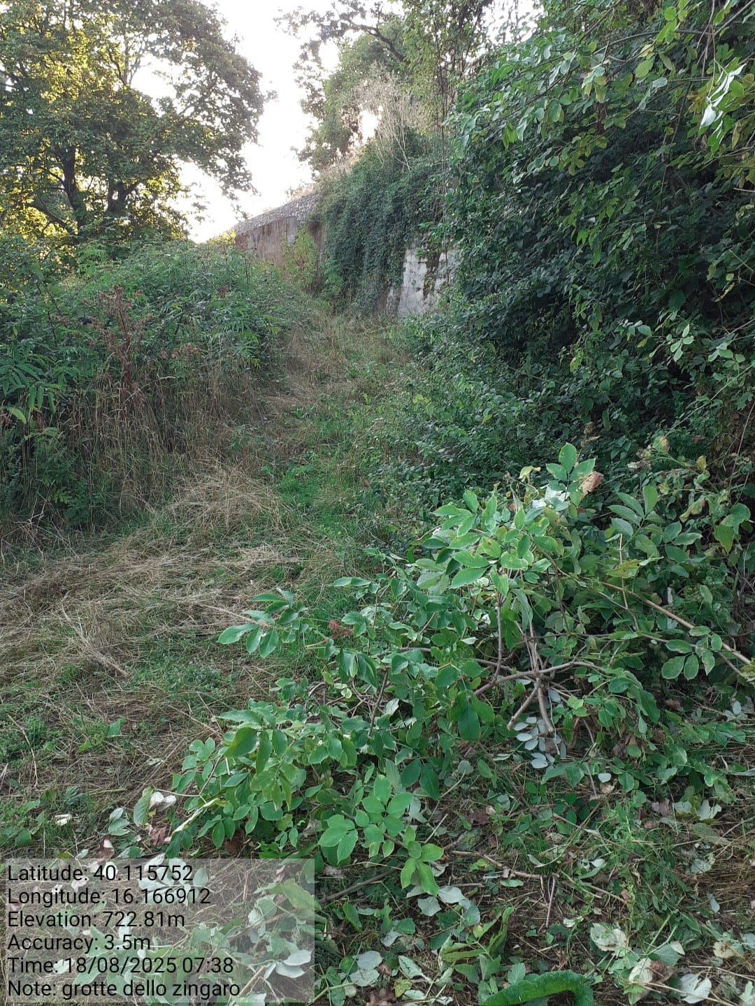 Galleria Fotografica Immagine