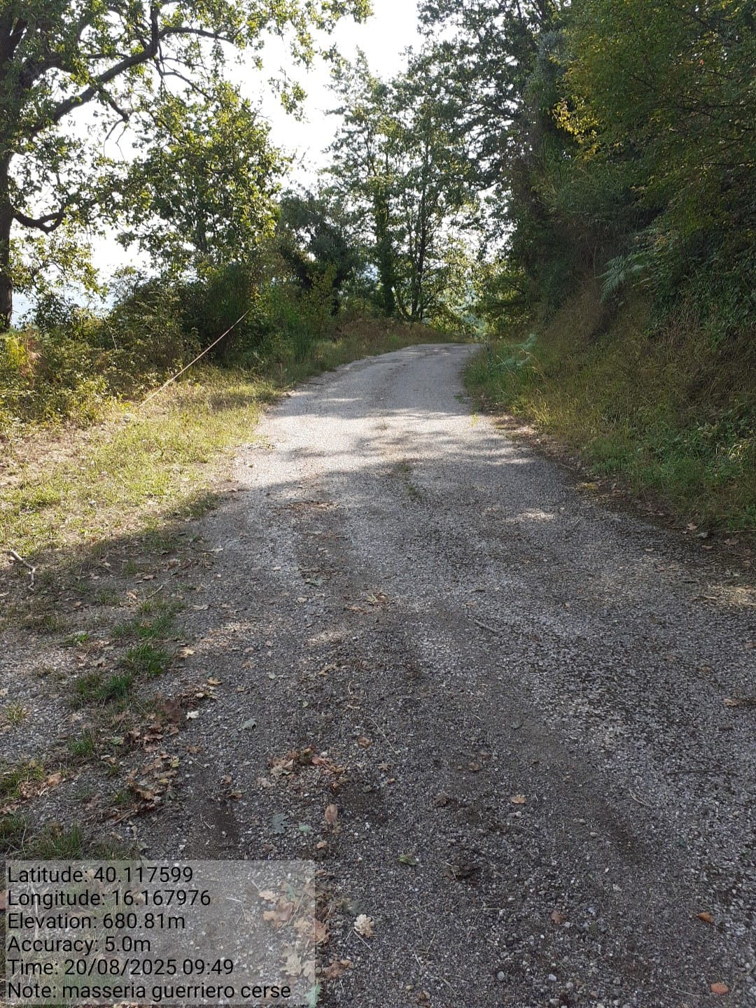 Galleria Fotografica Immagine