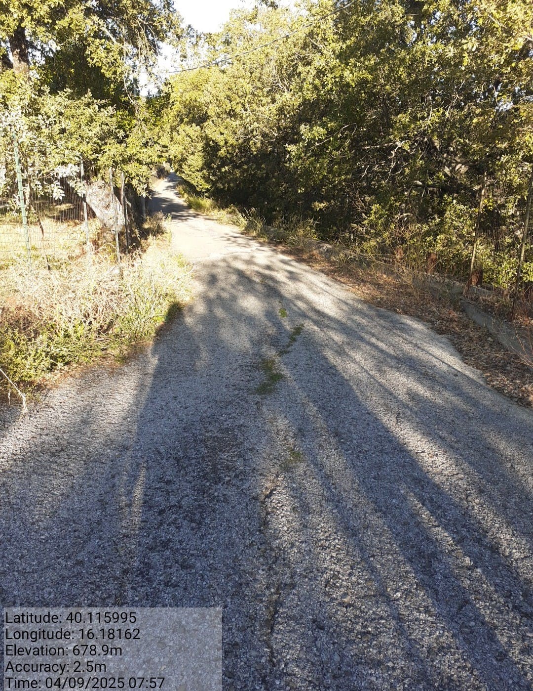 Galleria Fotografica Immagine