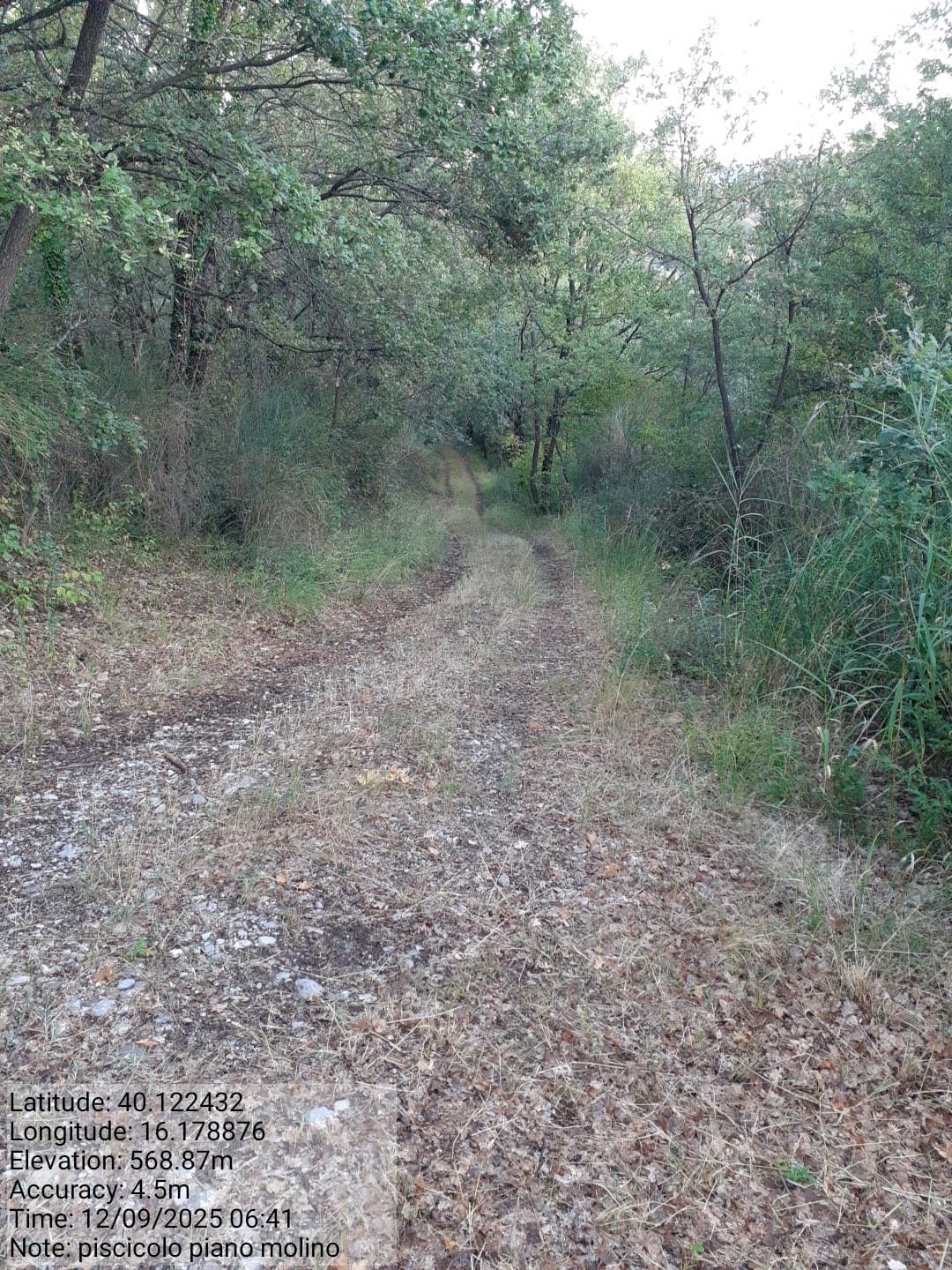 Galleria Fotografica Immagine