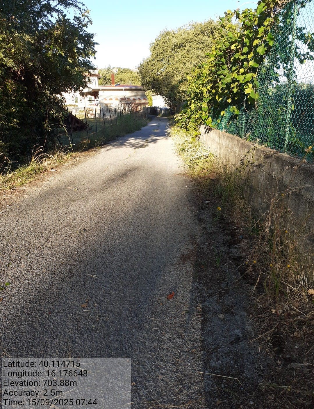 Galleria Fotografica Immagine