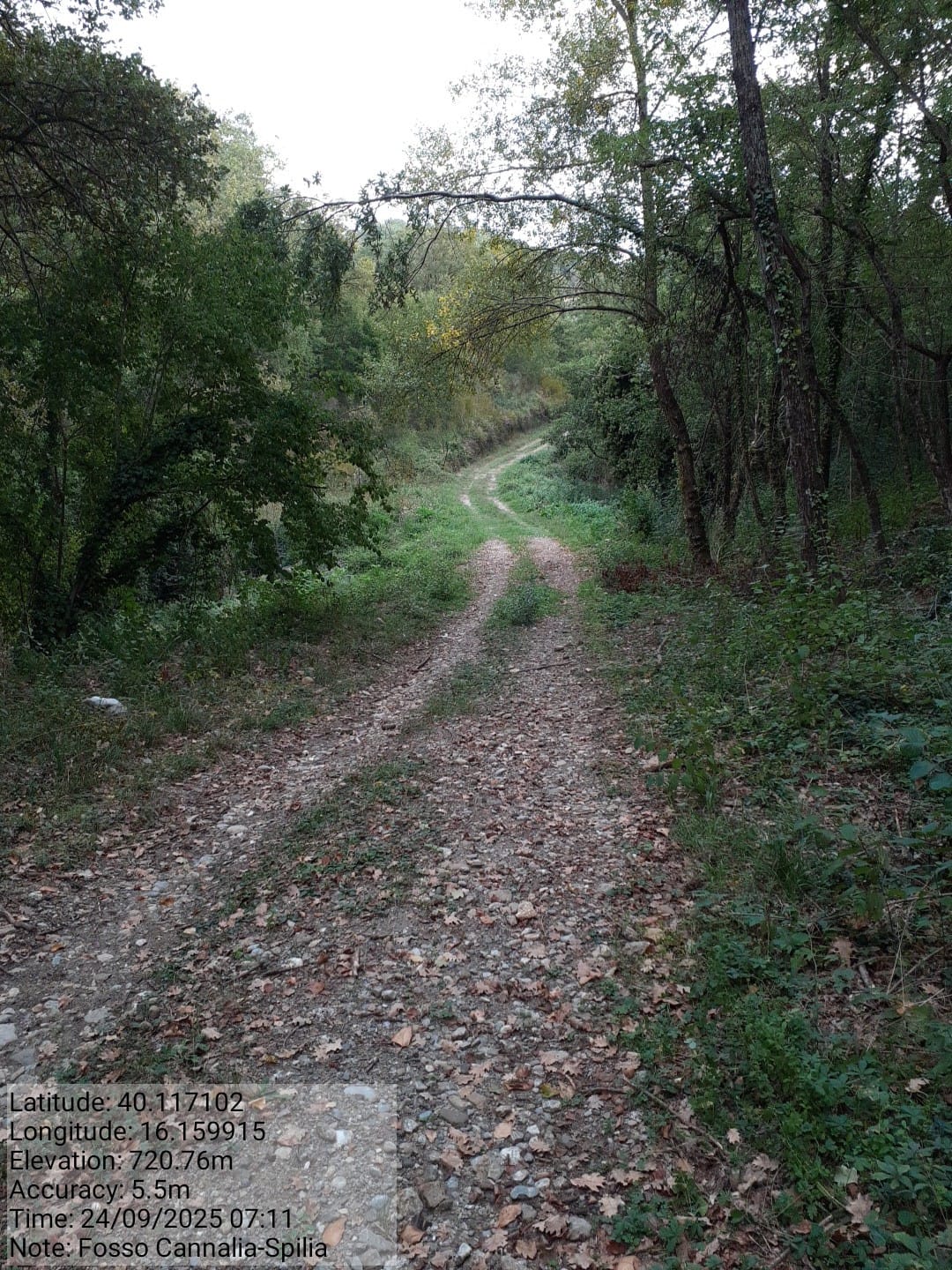 Galleria Fotografica Immagine