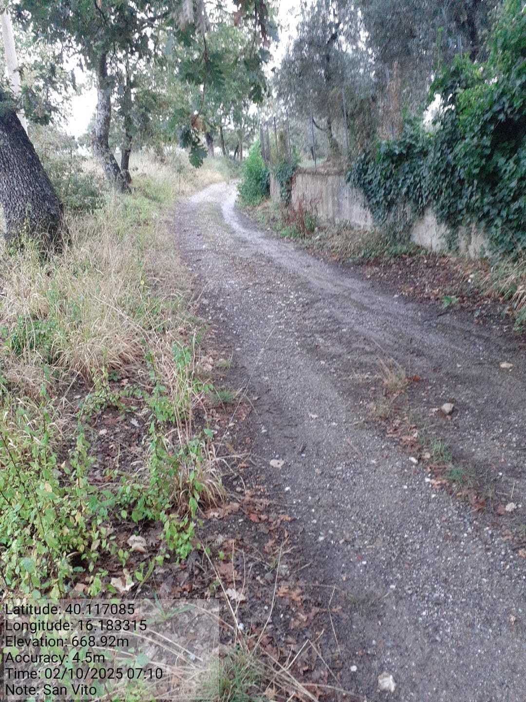 Galleria Fotografica Immagine