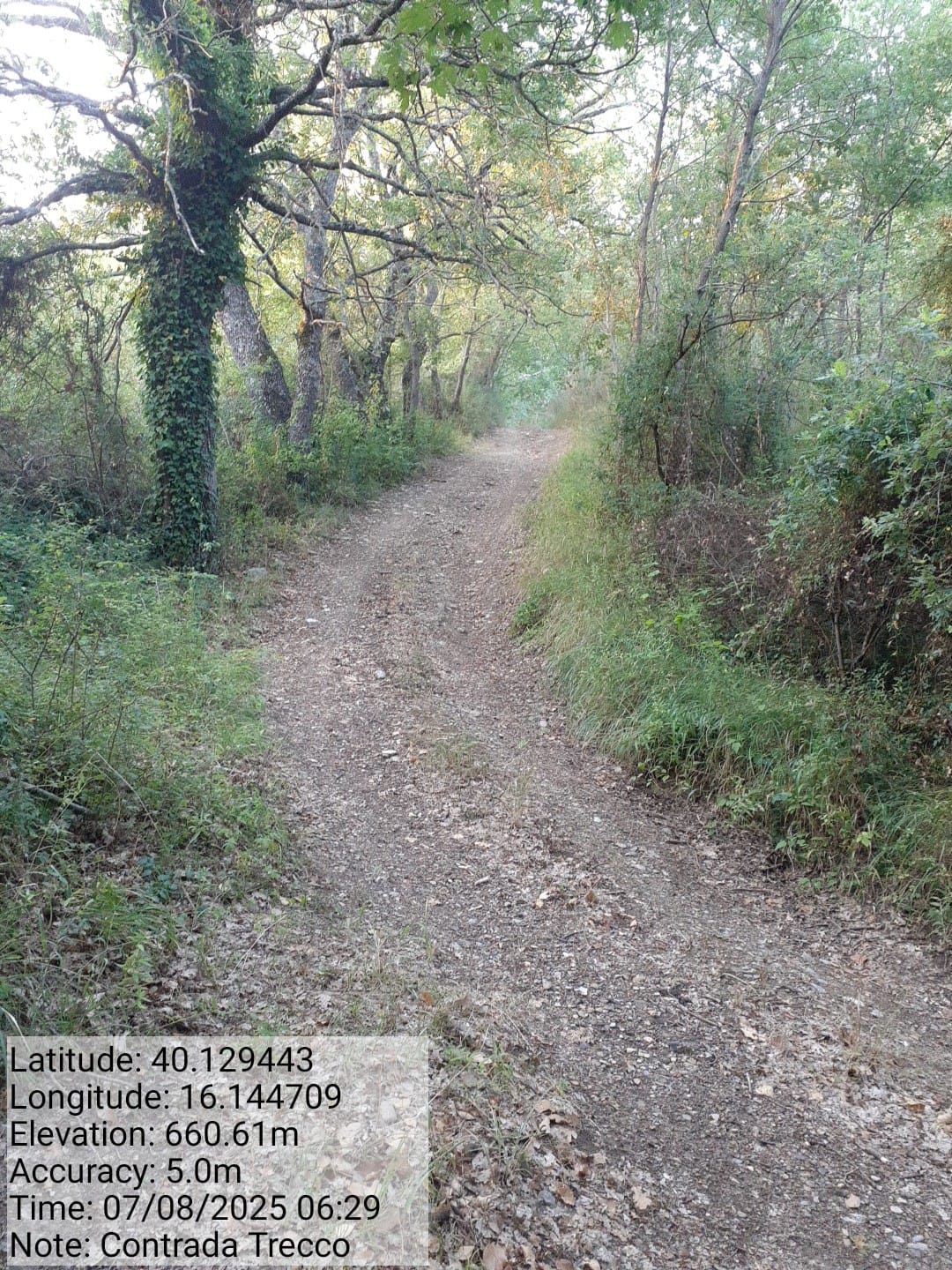 Galleria Fotografica Immagine