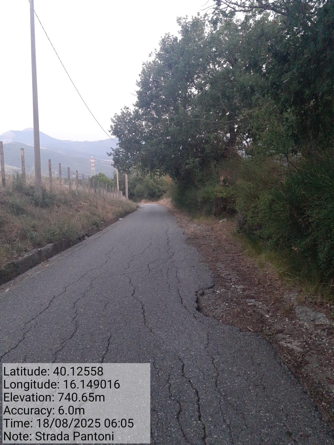 Galleria Fotografica Immagine