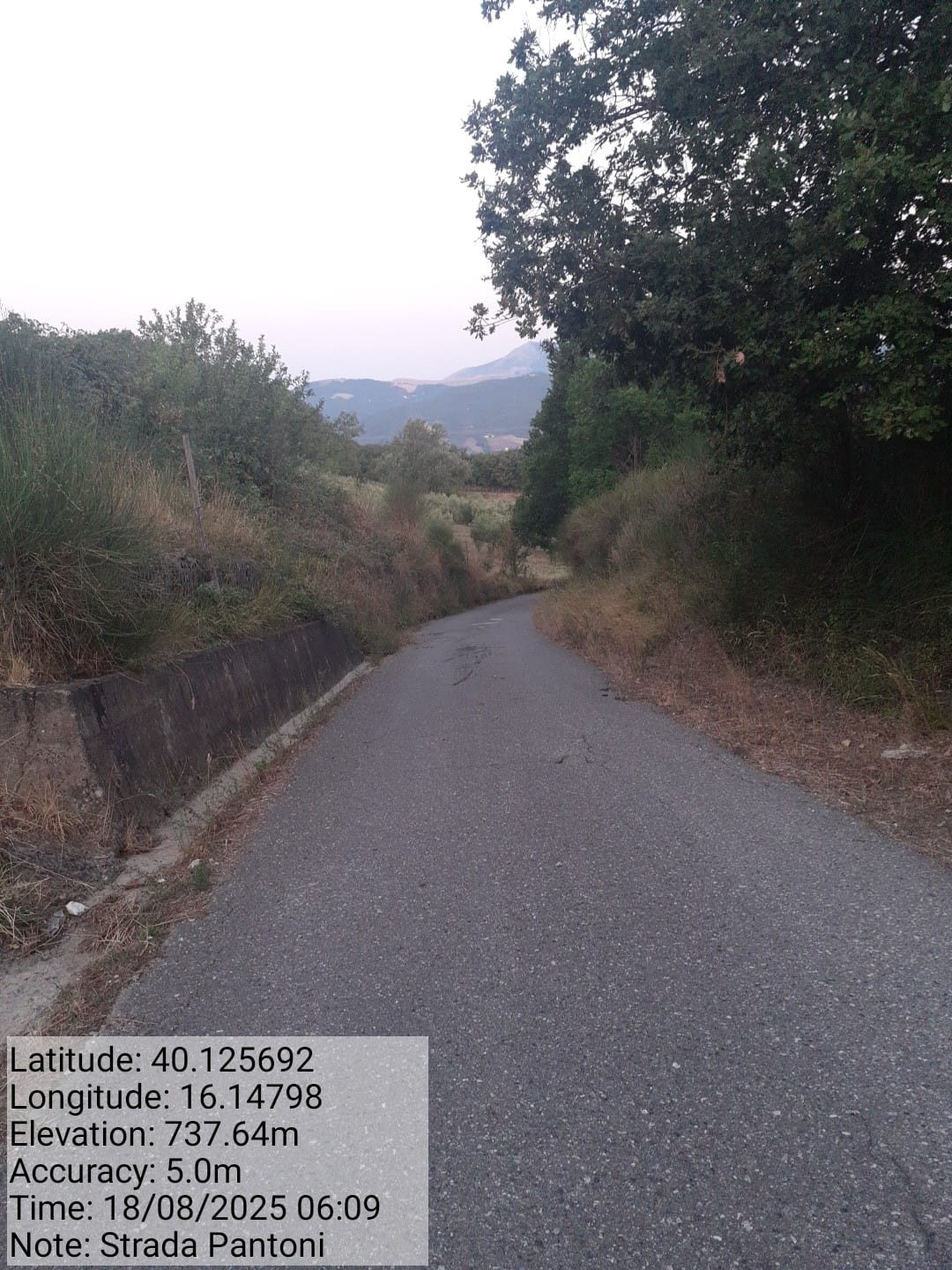 Galleria Fotografica Immagine