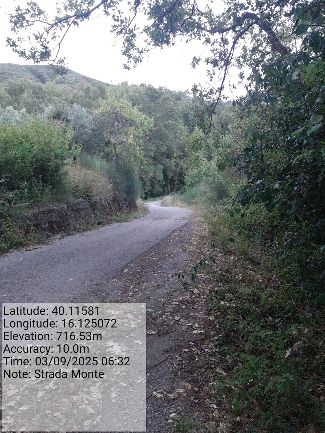 Galleria Fotografica Immagine