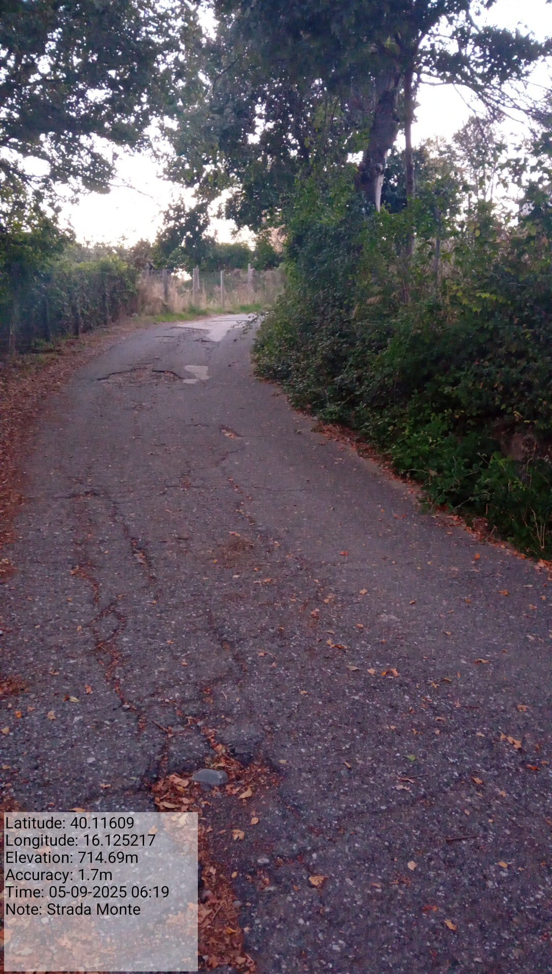 Galleria Fotografica Immagine