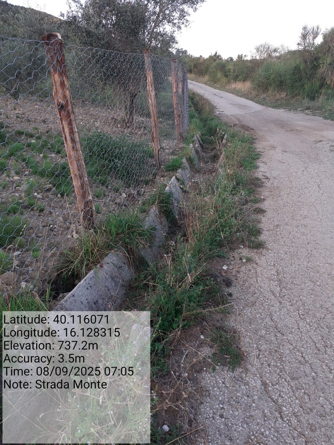 Galleria Fotografica Immagine