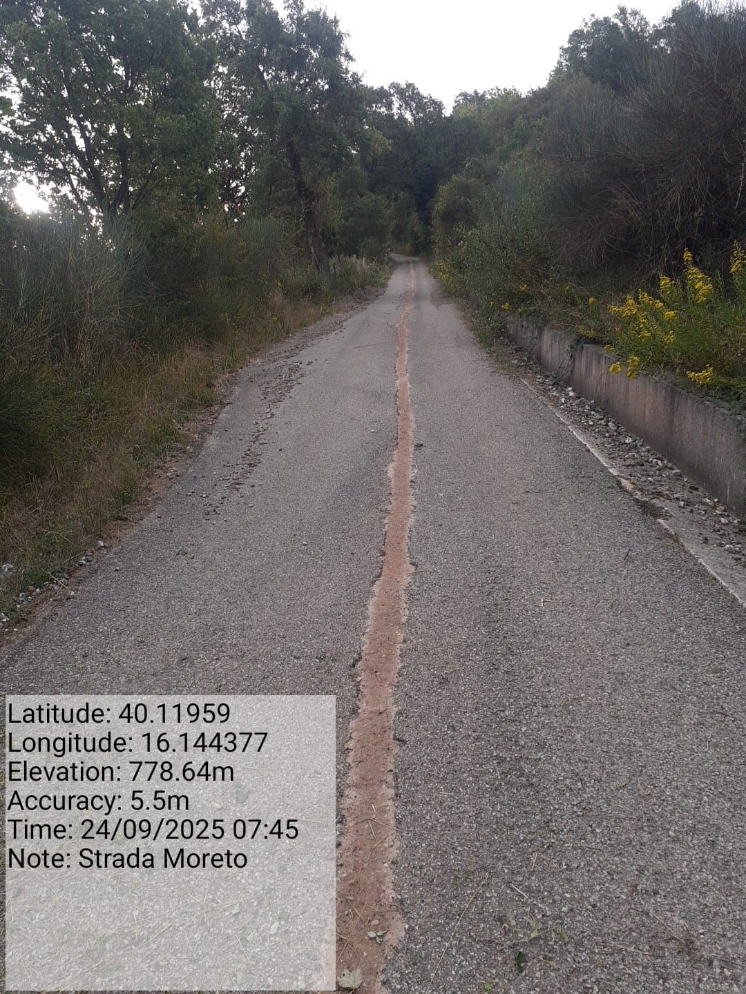 Galleria Fotografica Immagine