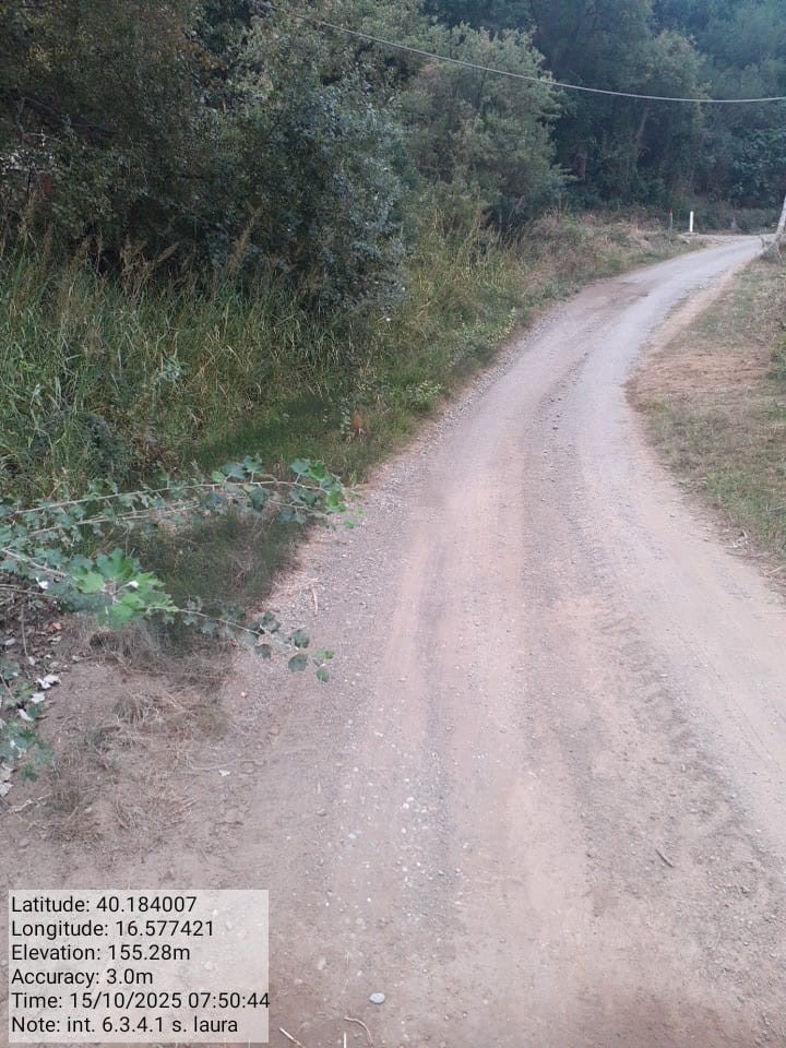 Galleria Fotografica Immagine