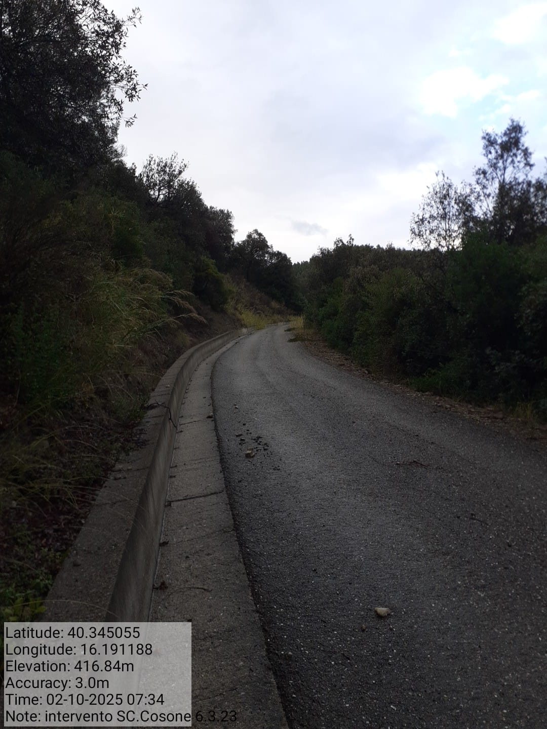 Galleria Fotografica Immagine