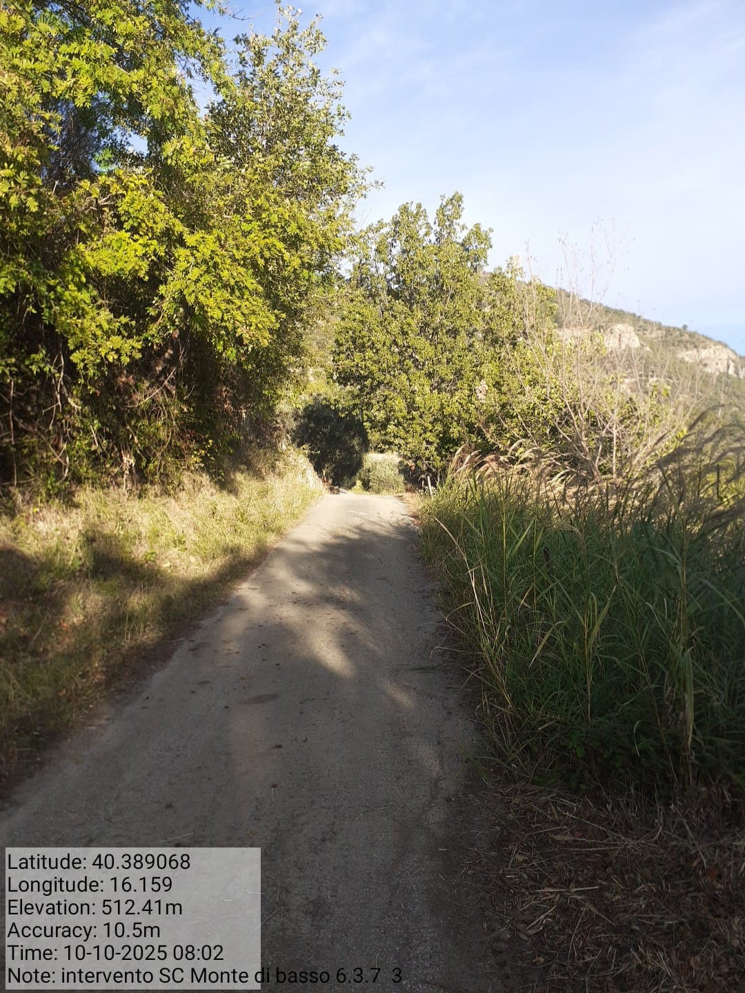 Galleria Fotografica Immagine