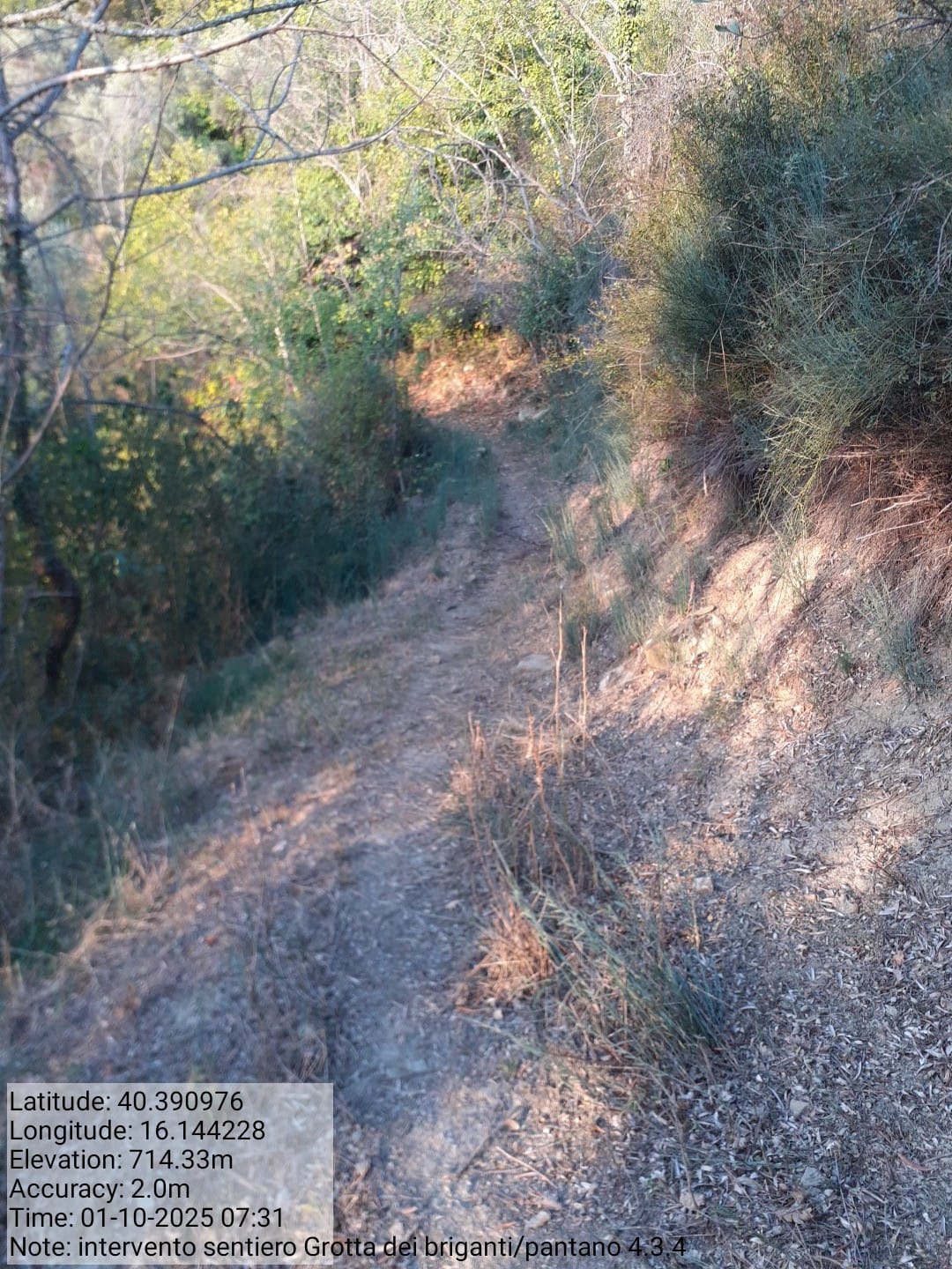 Galleria Fotografica Immagine