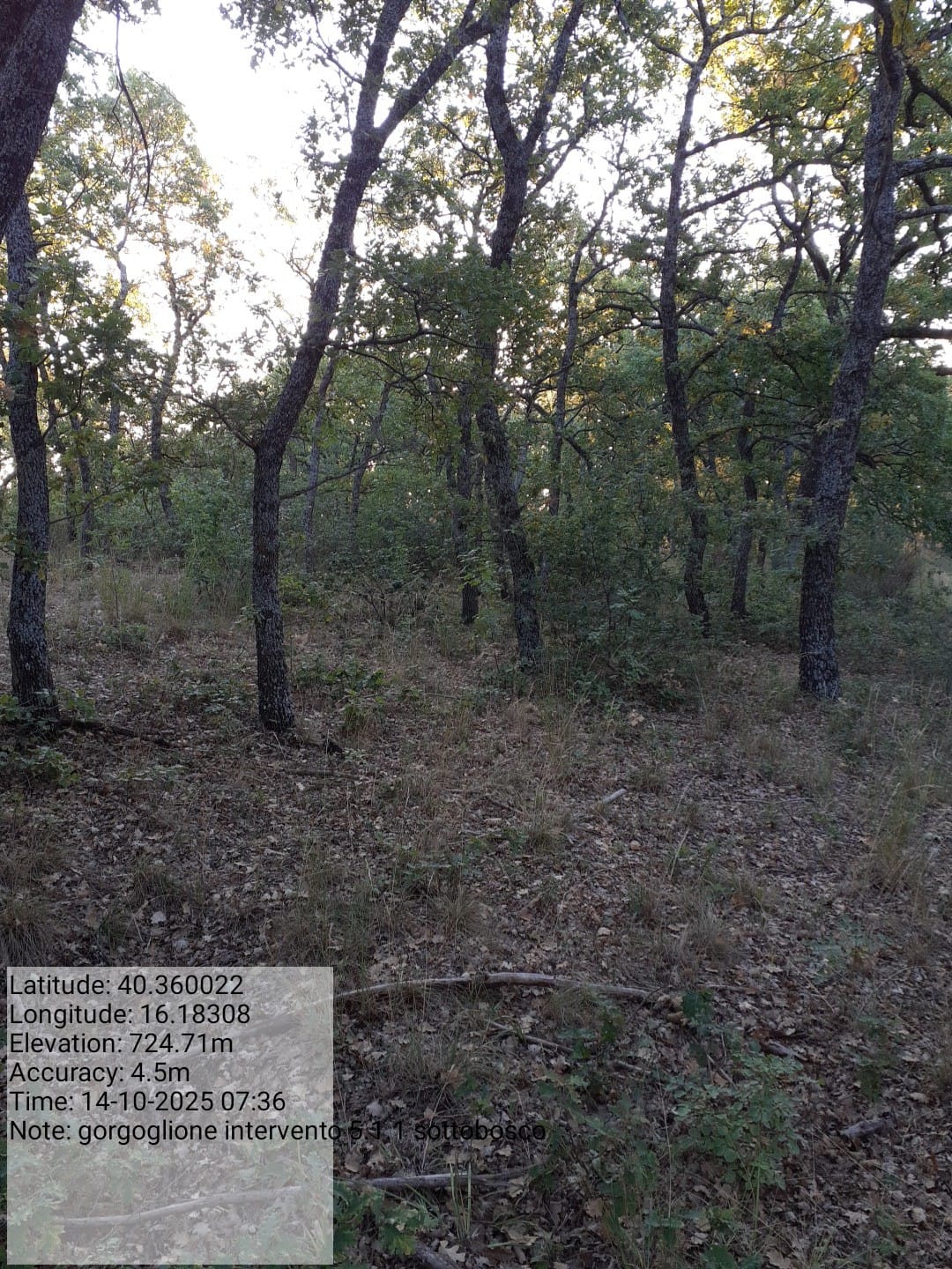 Galleria Fotografica Immagine