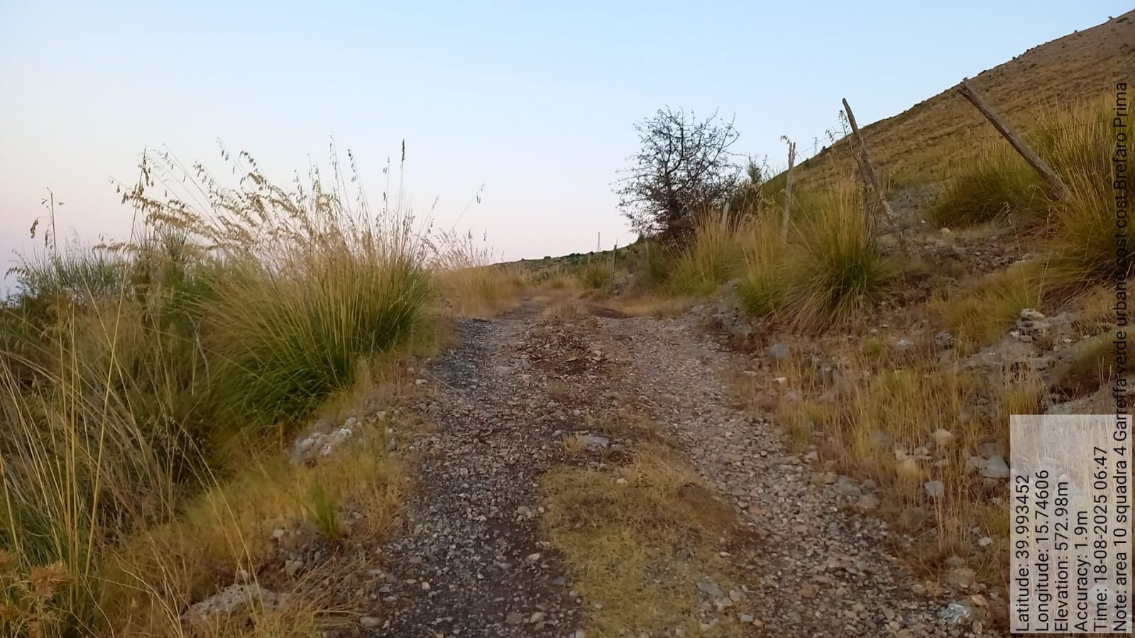 Galleria Fotografica Immagine