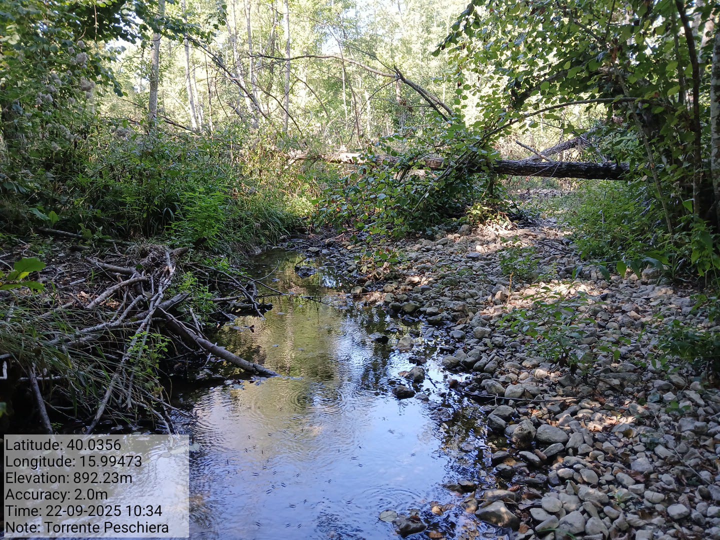 Galleria Fotografica Immagine