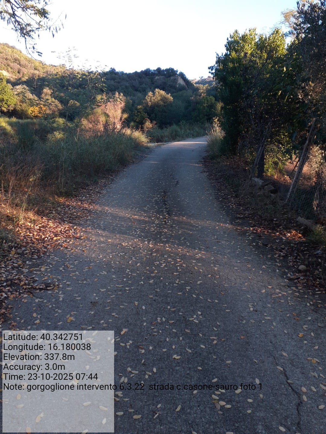 Galleria Fotografica Immagine