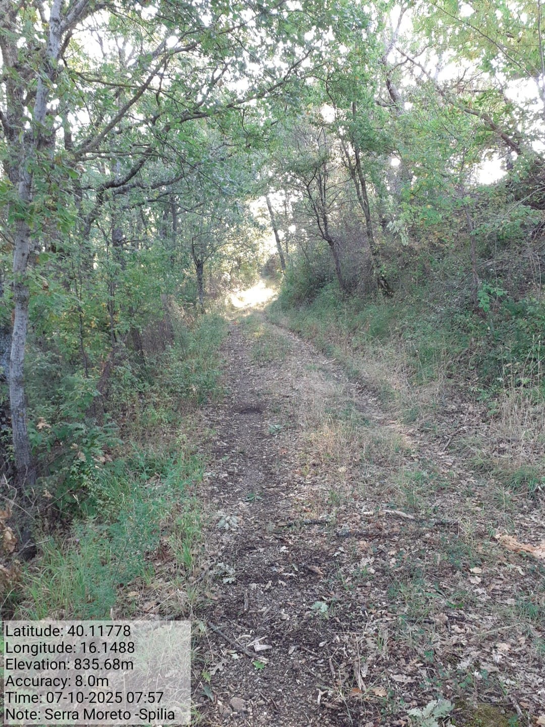 Galleria Fotografica Immagine