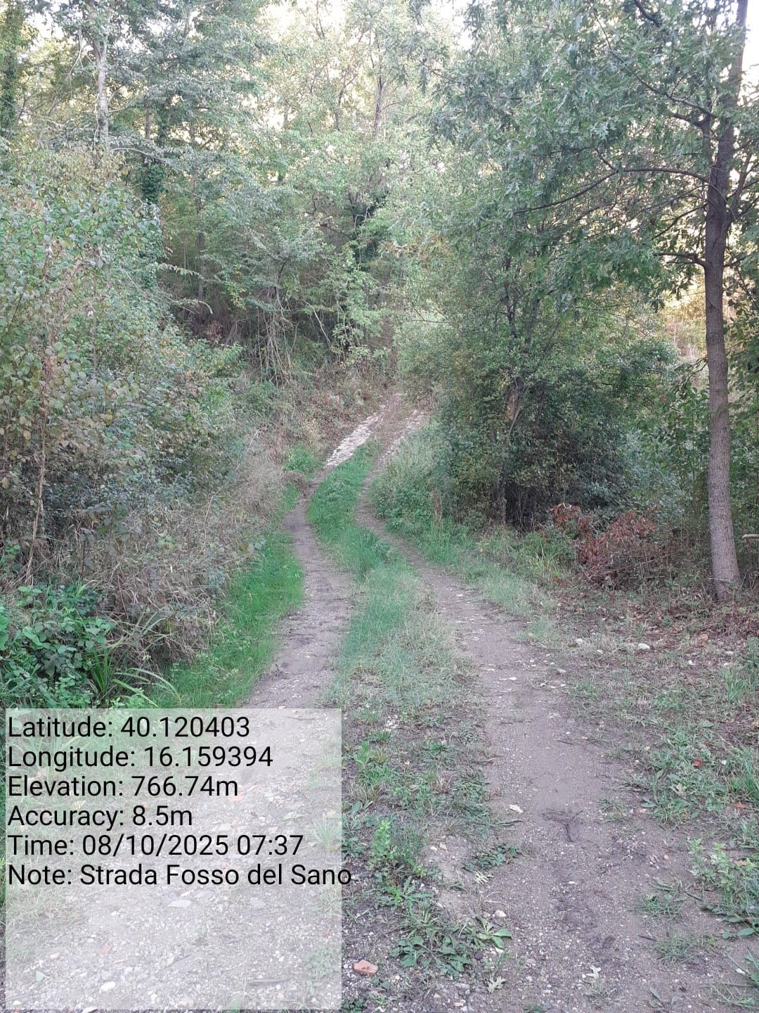 Galleria Fotografica Immagine