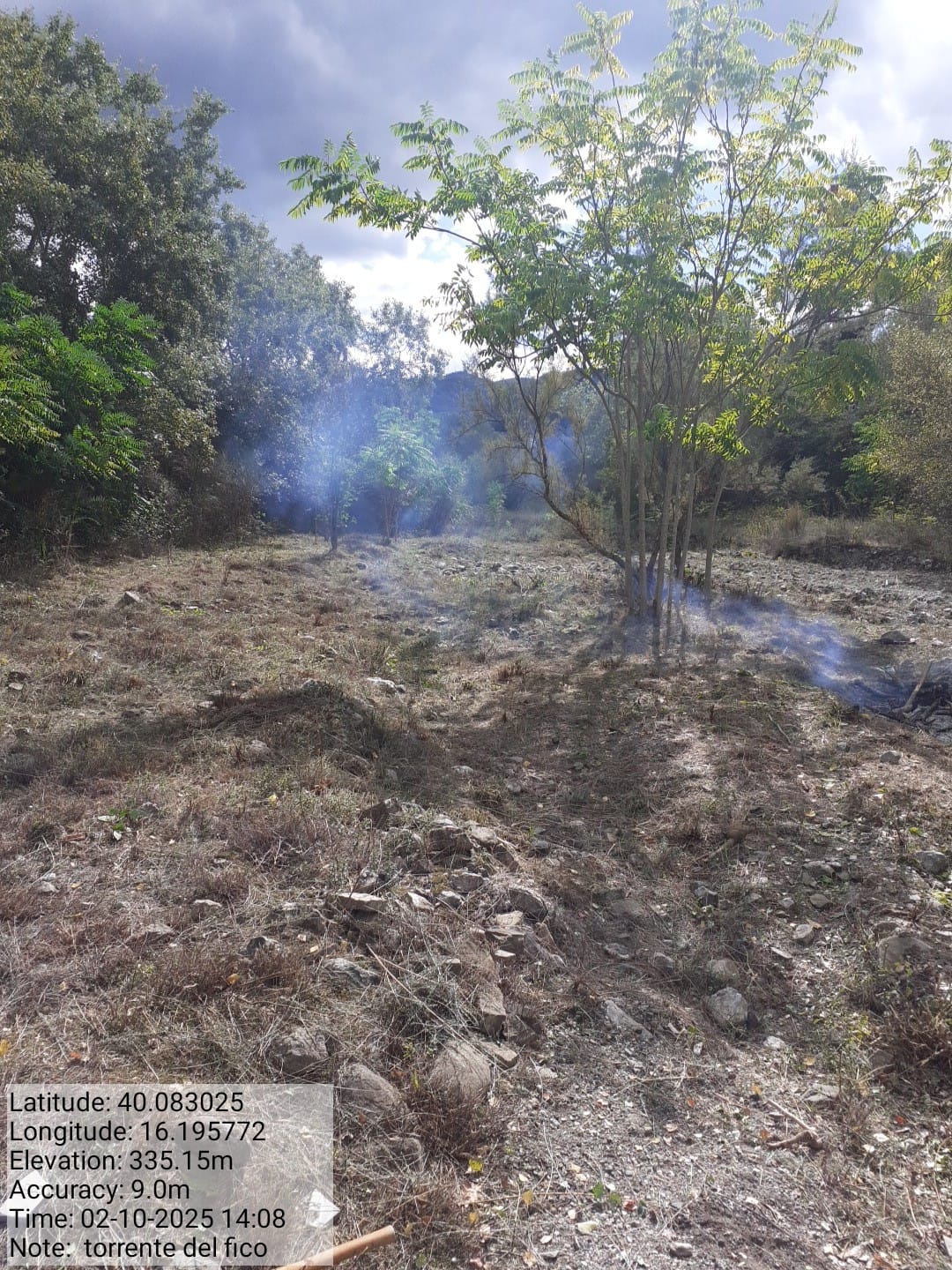 Galleria Fotografica Immagine