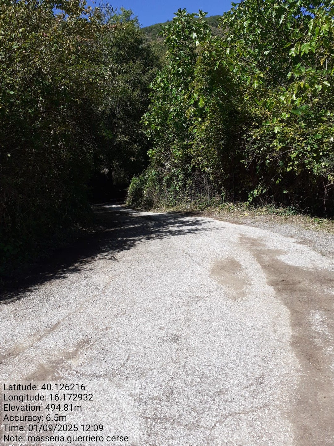 Galleria Fotografica Immagine