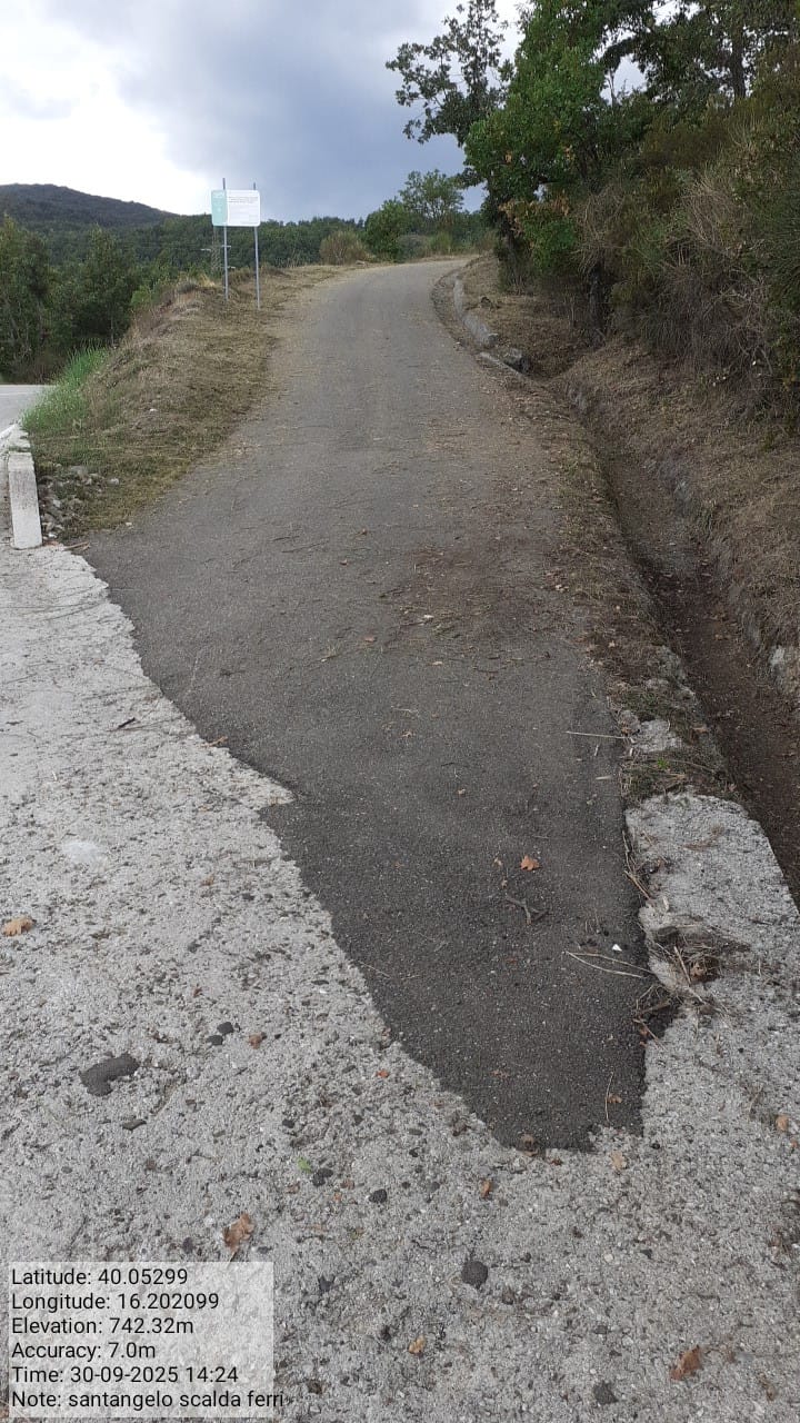 Galleria Fotografica Immagine