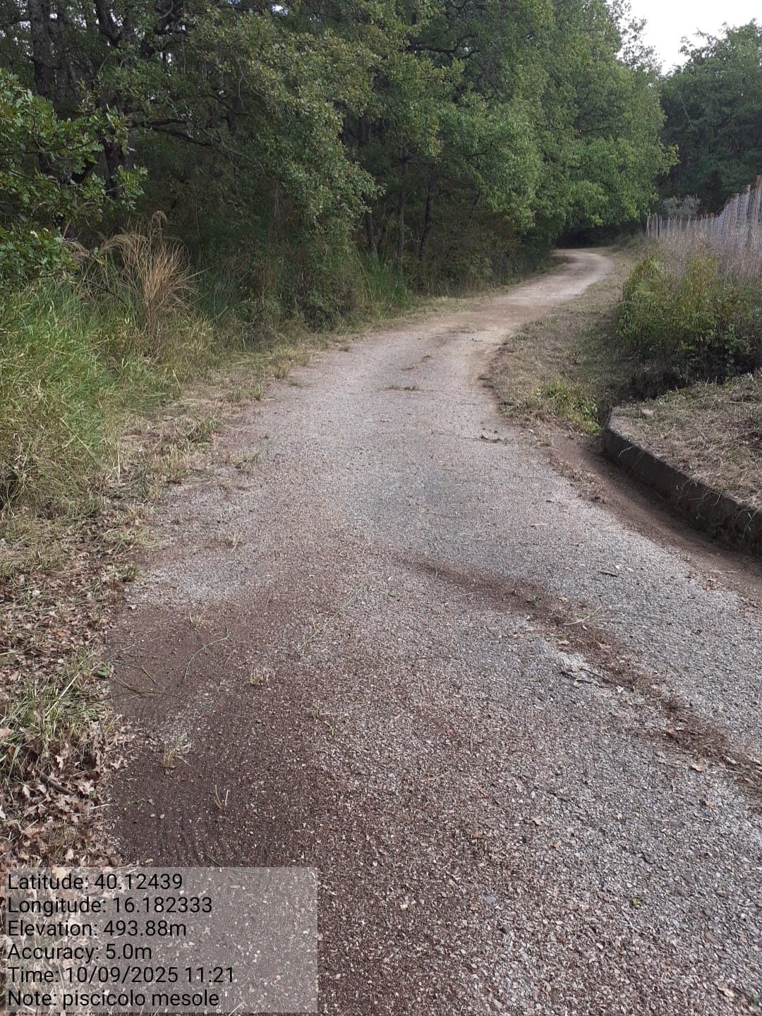 Galleria Fotografica Immagine