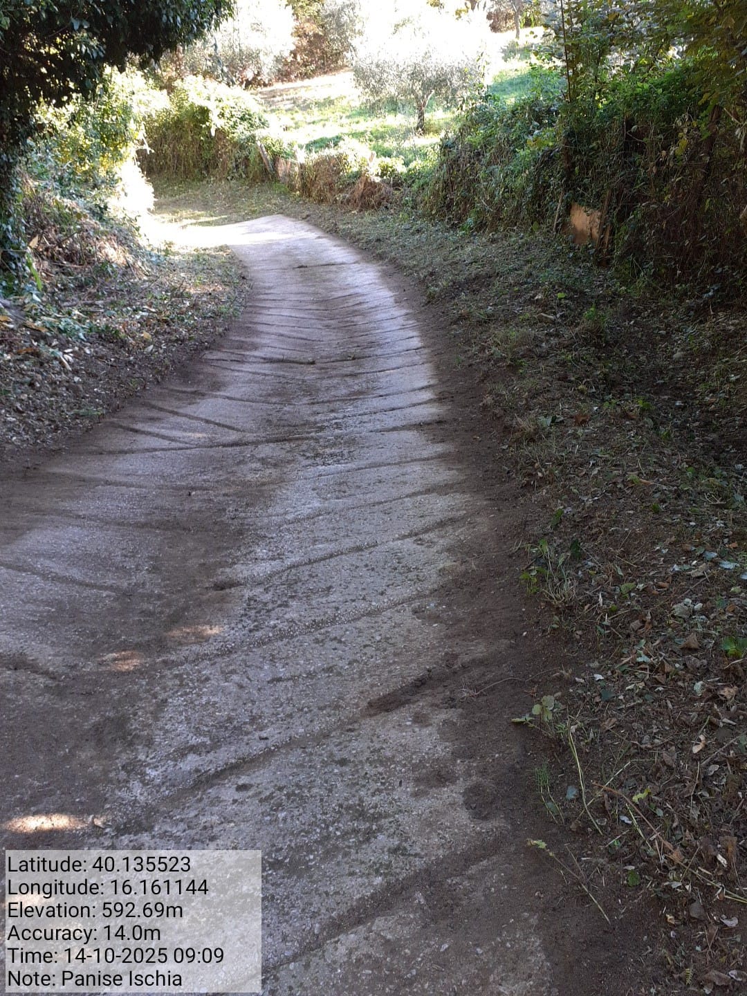 Galleria Fotografica Immagine