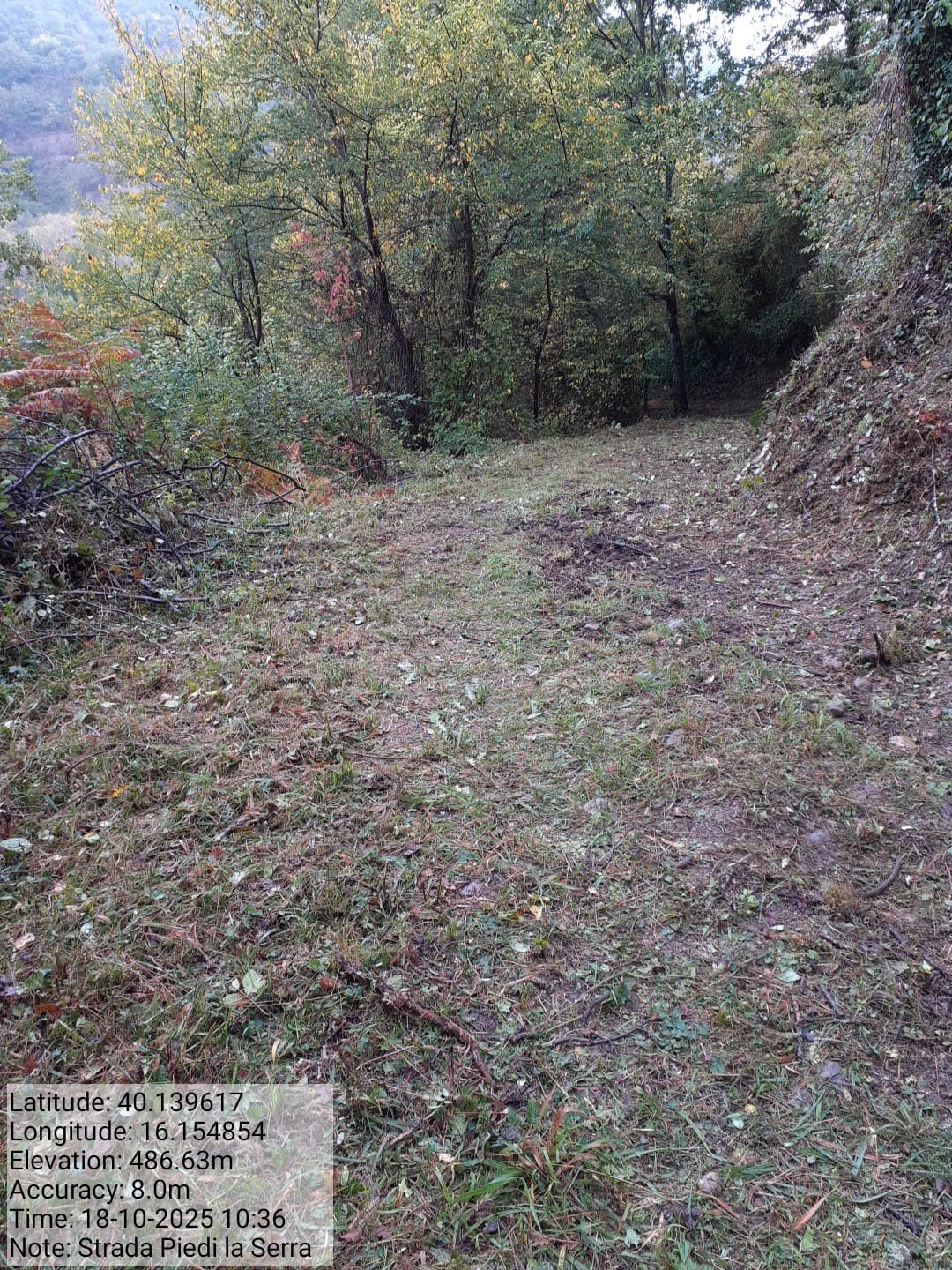 Galleria Fotografica Immagine