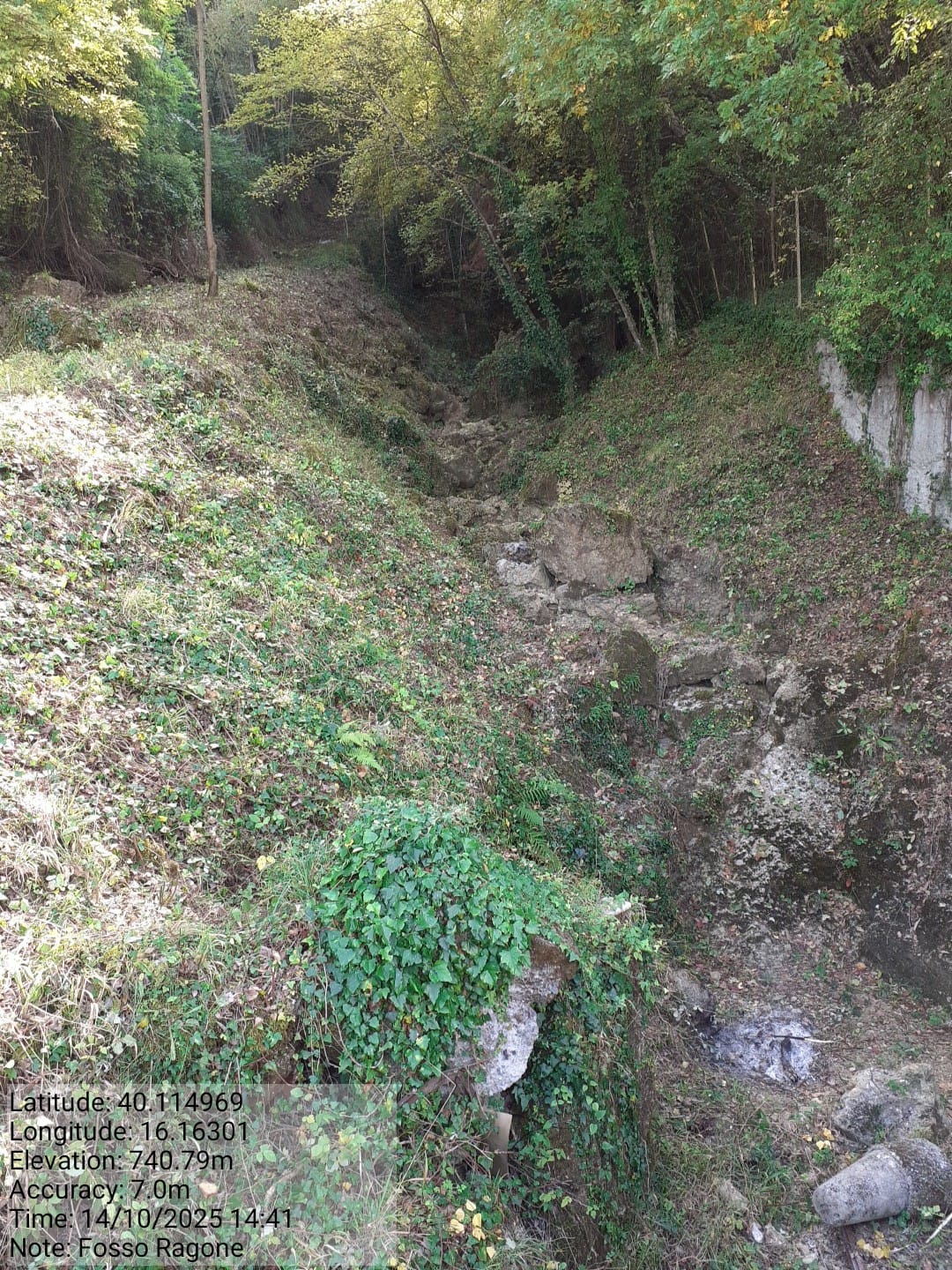 Galleria Fotografica Immagine