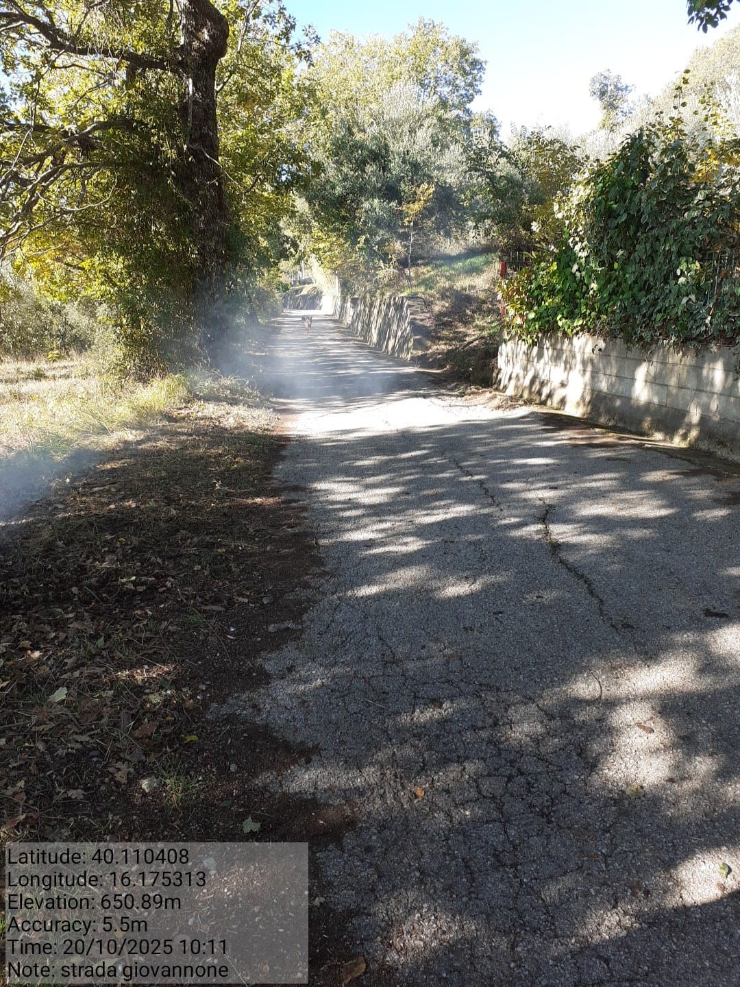 Galleria Fotografica Immagine