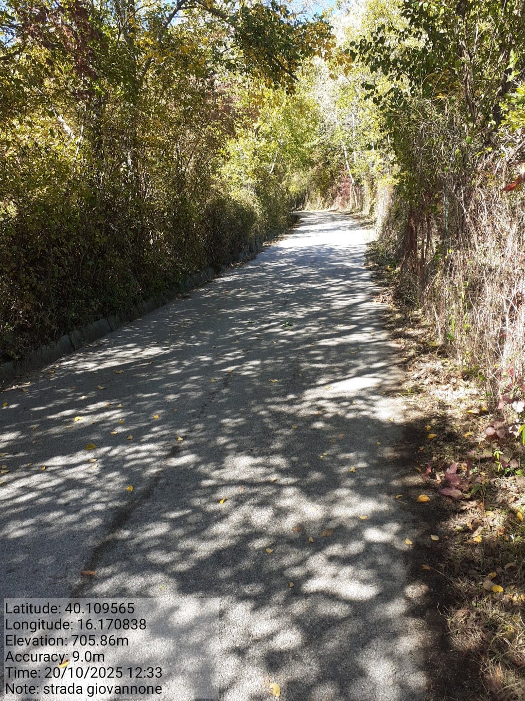 Galleria Fotografica Immagine