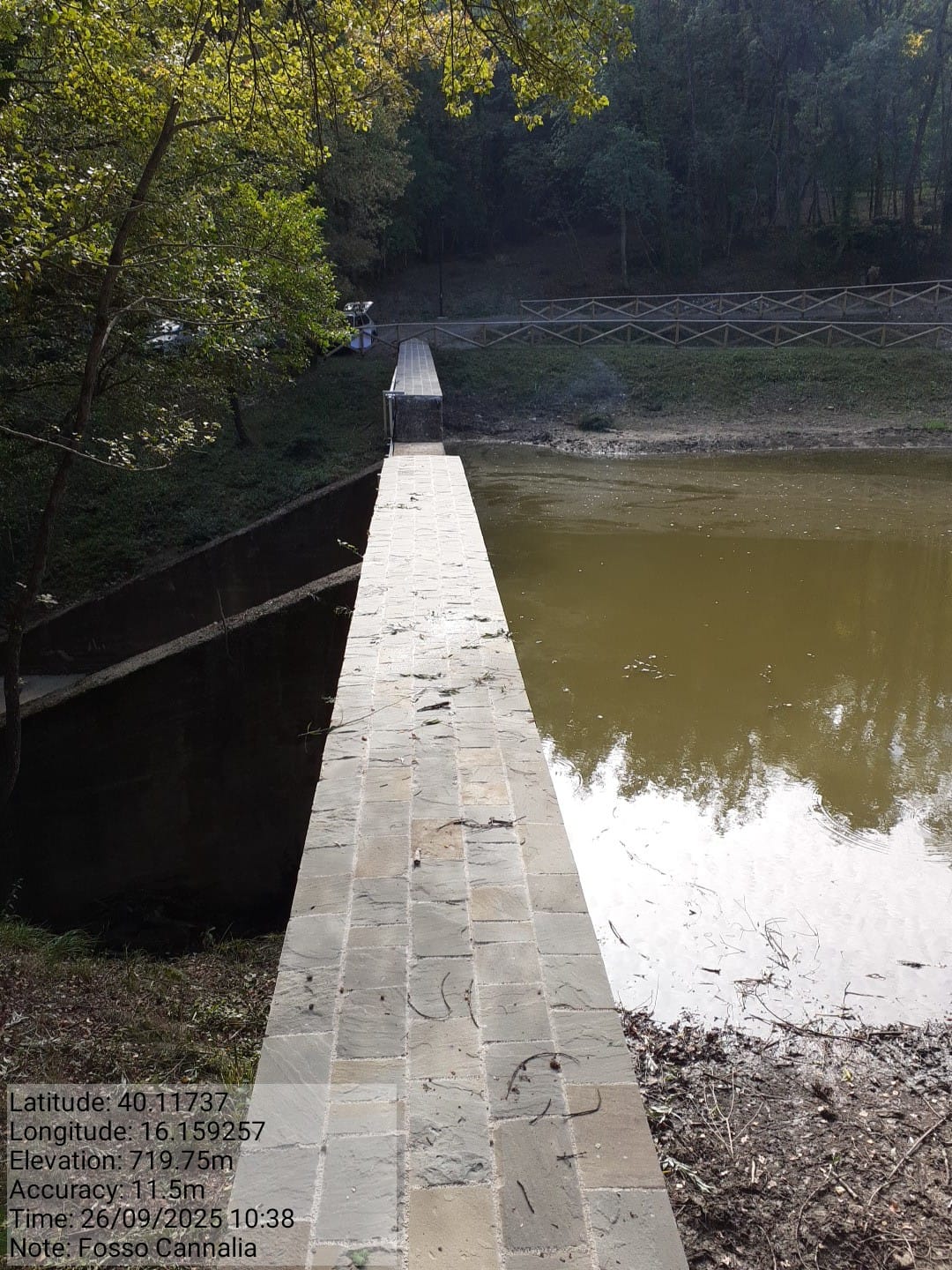 Galleria Fotografica Immagine