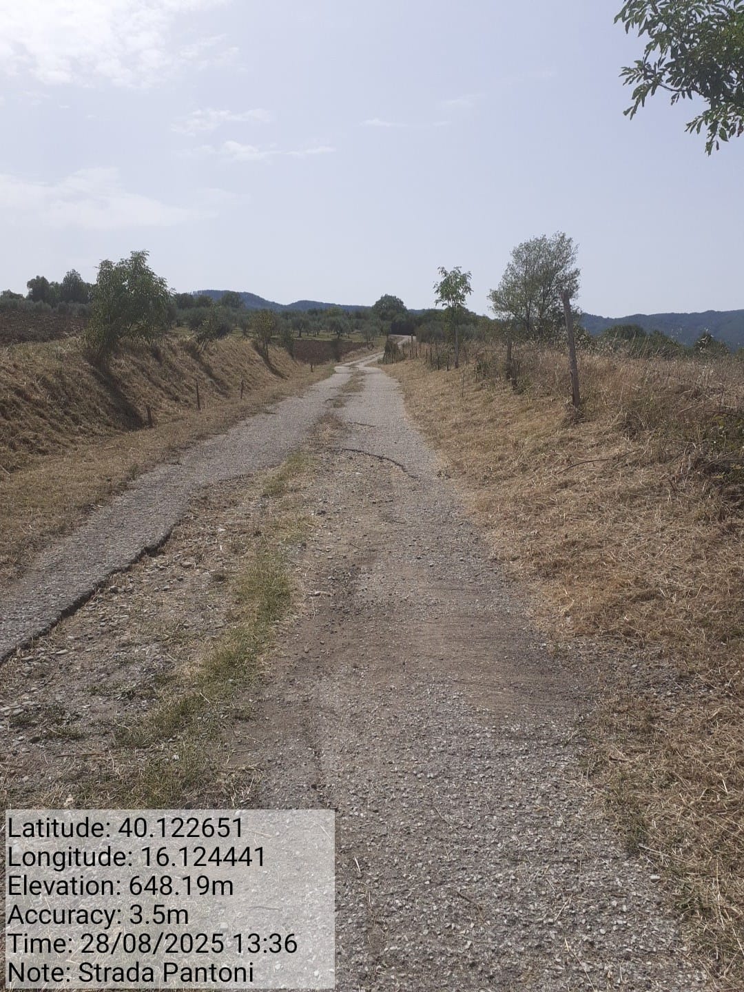 Galleria Fotografica Immagine