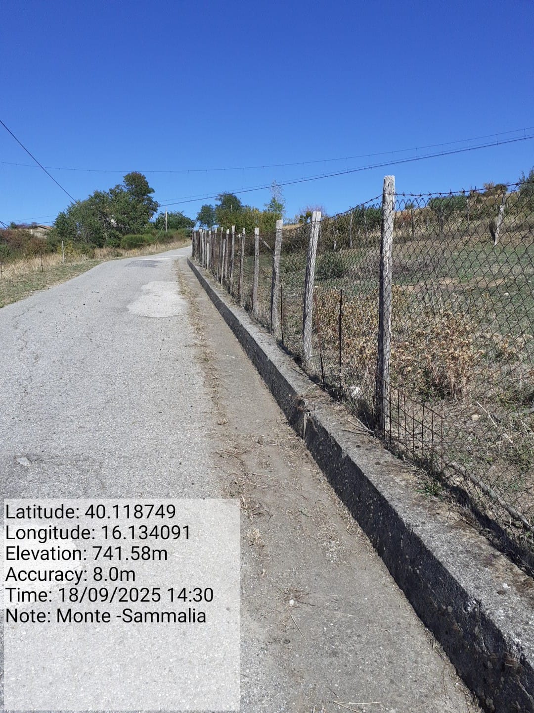 Galleria Fotografica Immagine