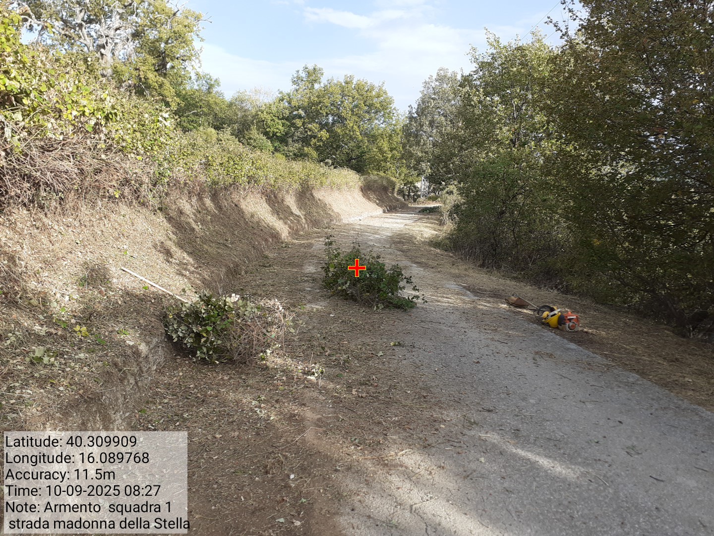 Galleria Fotografica Immagine