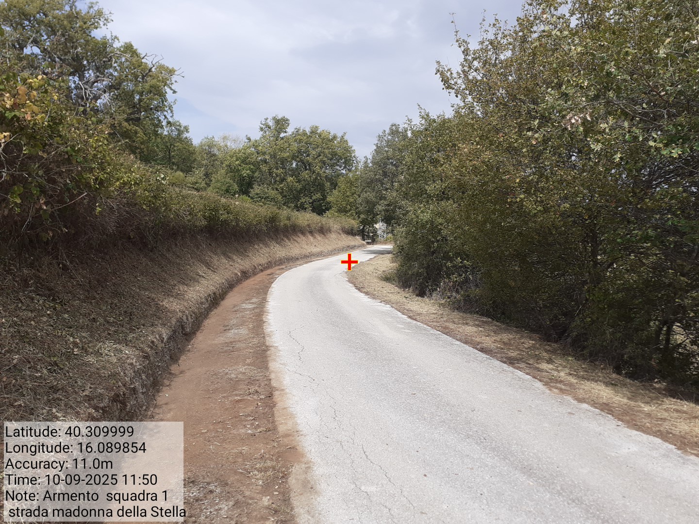 Galleria Fotografica Immagine