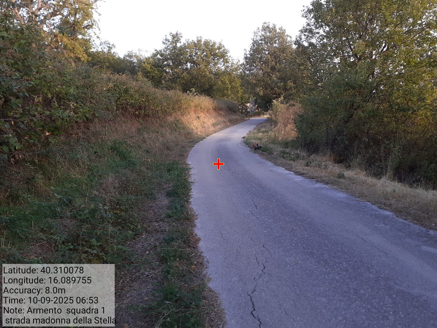 Galleria Fotografica Immagine