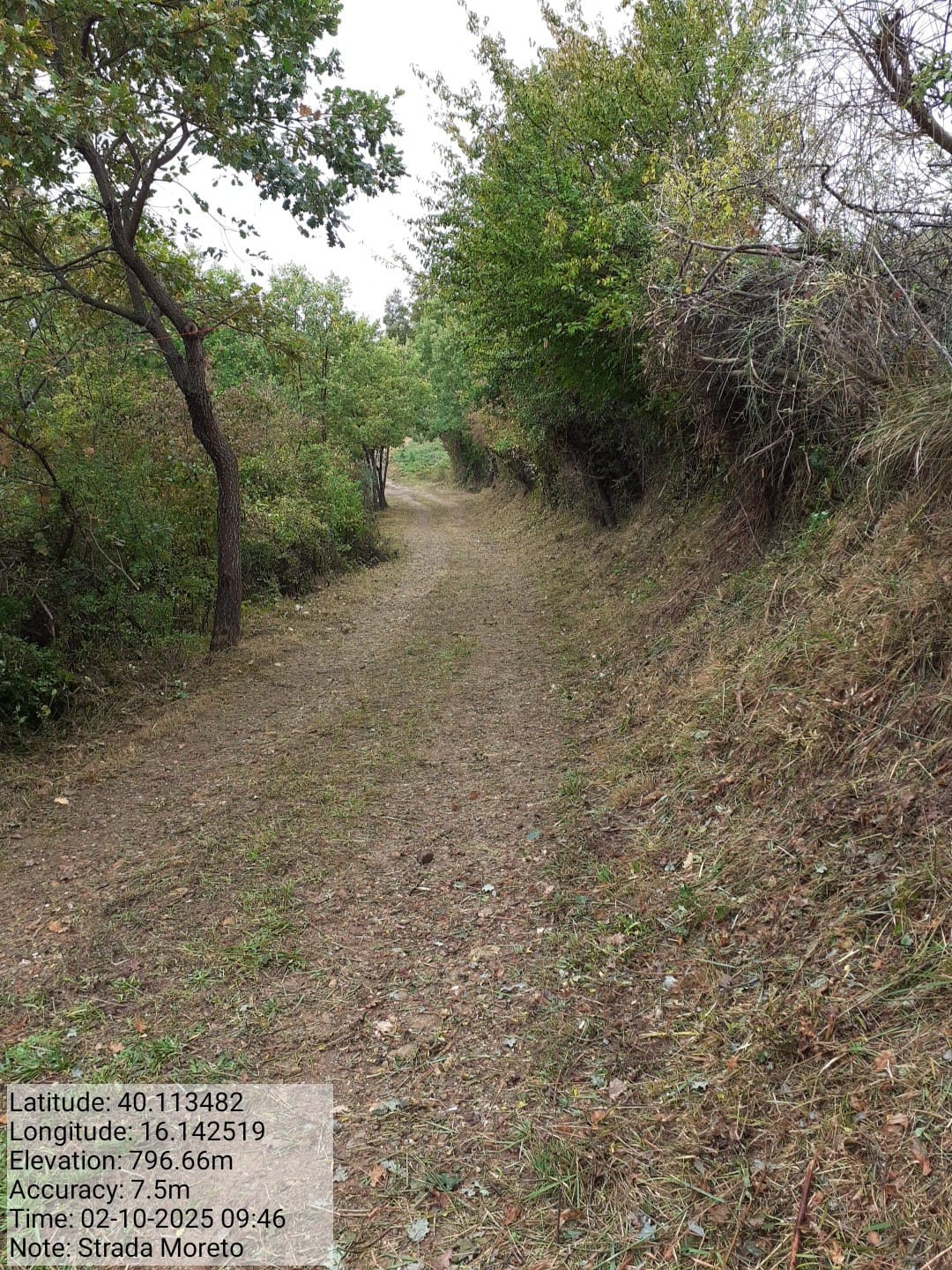 Galleria Fotografica Immagine