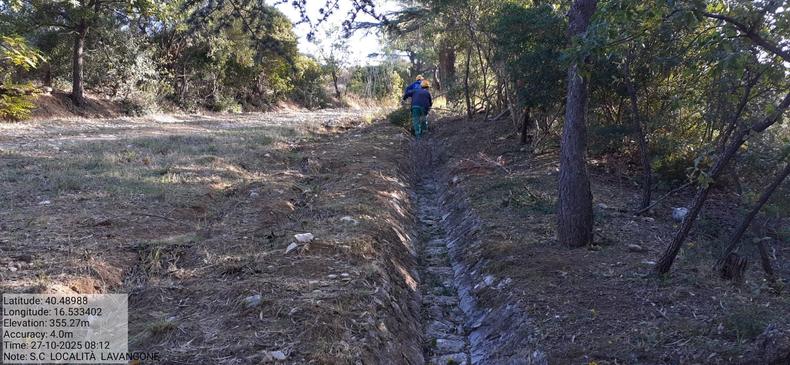 Galleria Fotografica Immagine