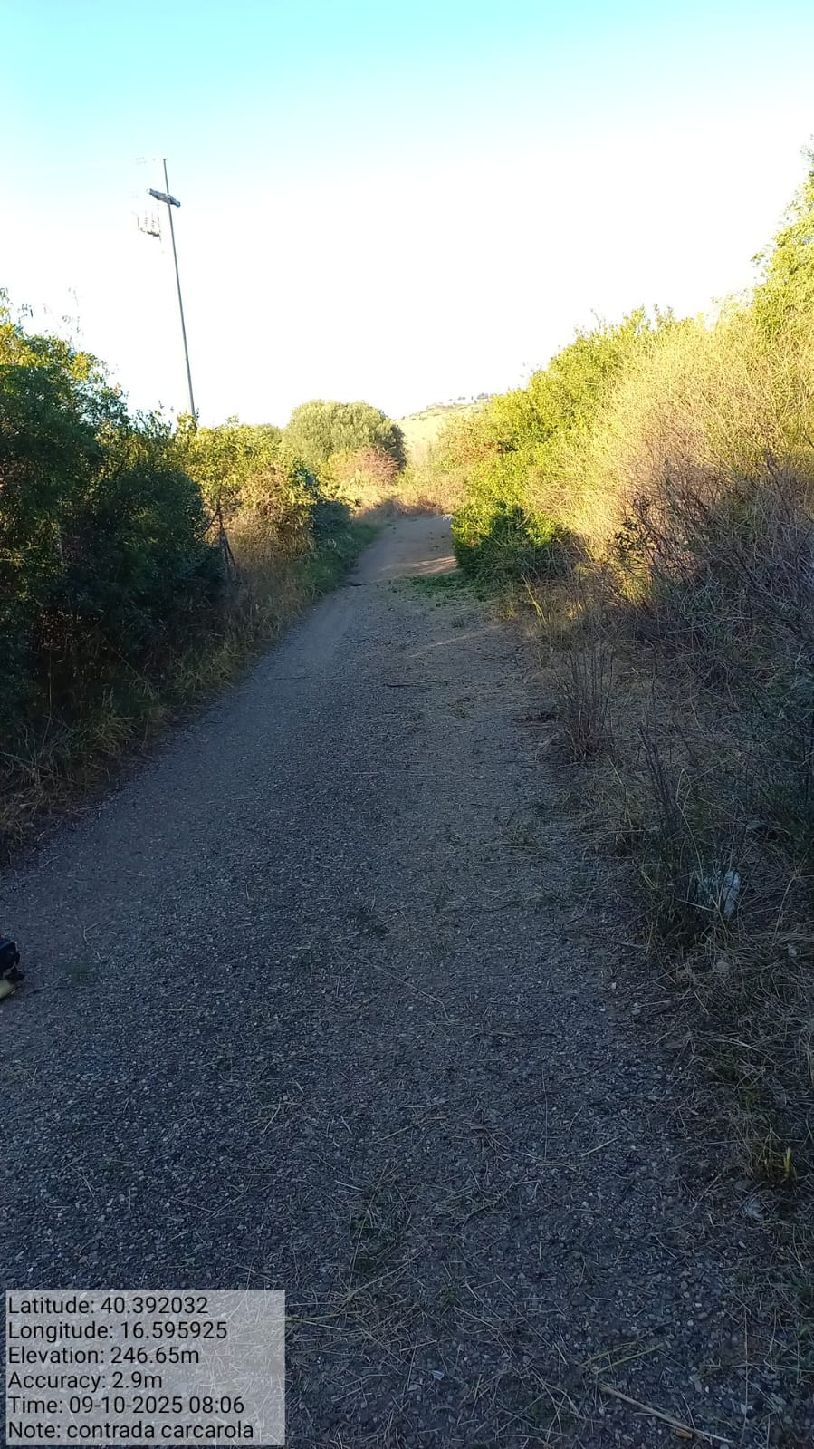 Galleria Fotografica Immagine